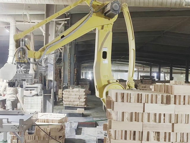 Braccio robotico nel sistema di automazione