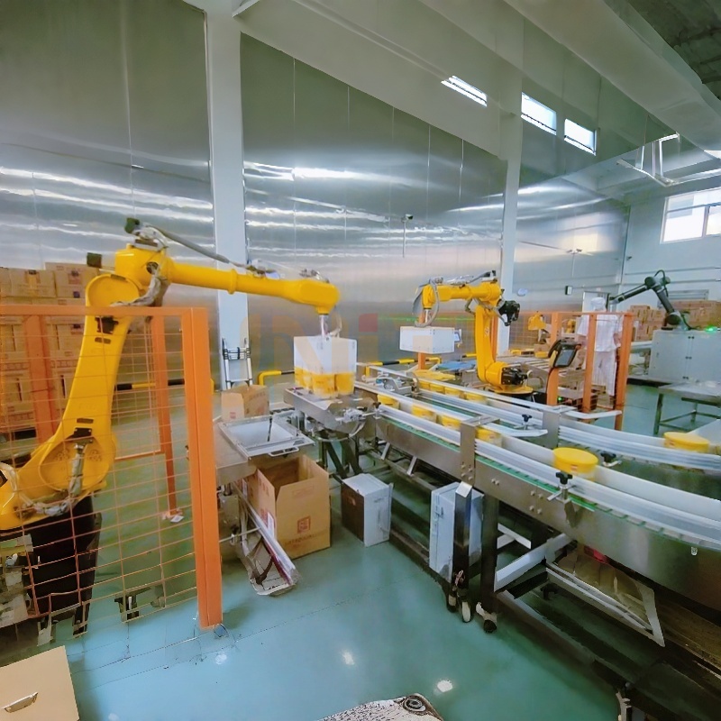 Ganap na Automated Case Packing Solution para sa Cup-Packed na Pagkain