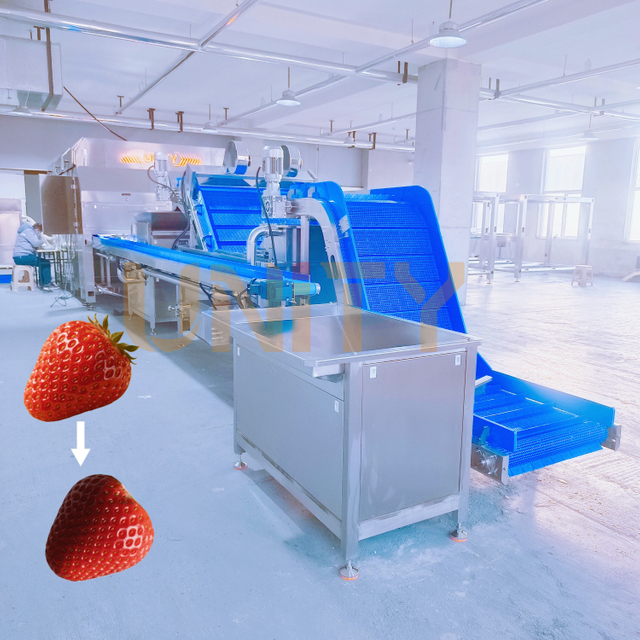 Solution d’&eacute;limination des calices de fraises &agrave; grande vitesse enti&egrave;rement automatis&eacute;e
